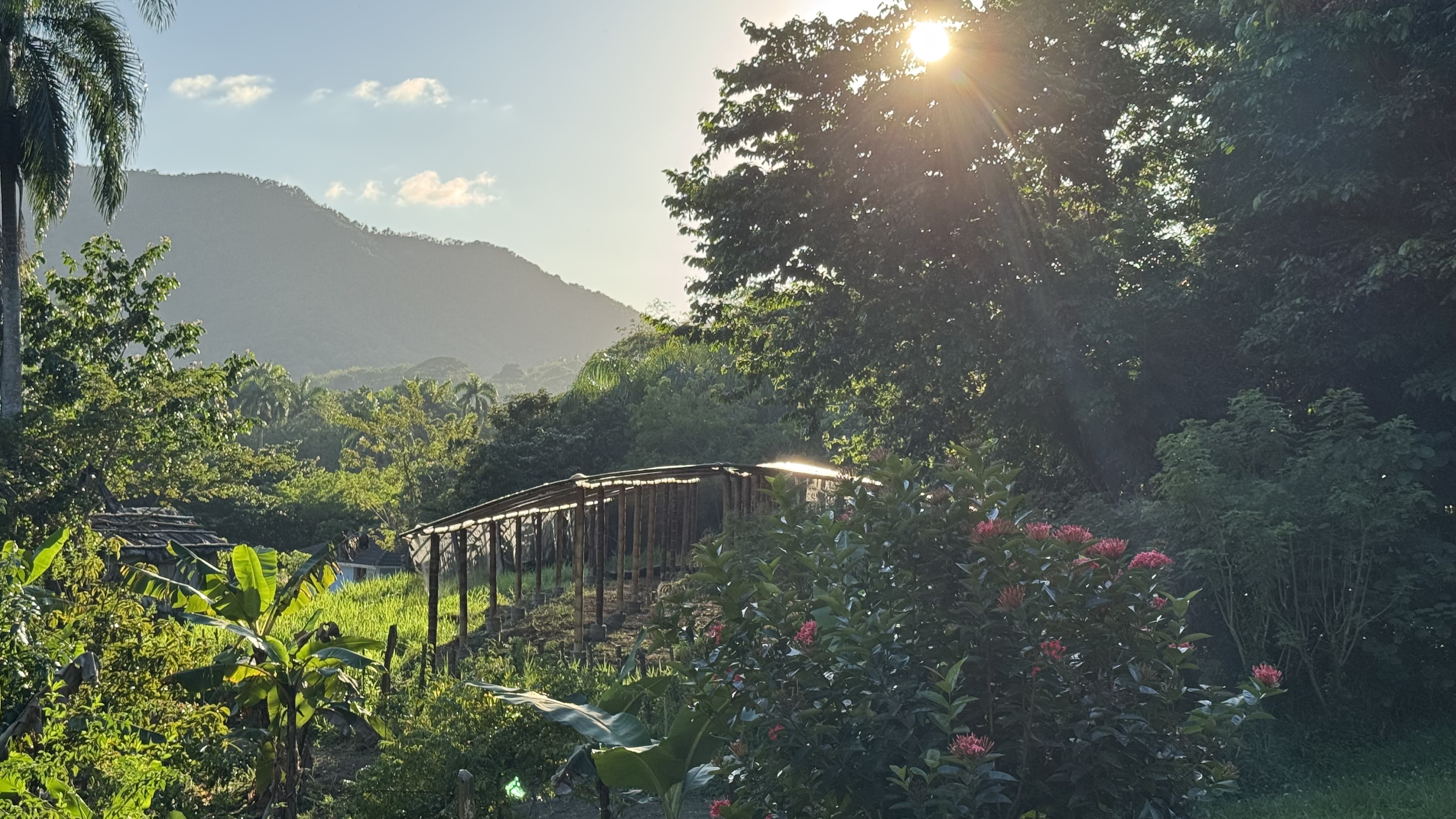 Anzuchthaus der Farm im Abendlicht, dahinter die Bergkette